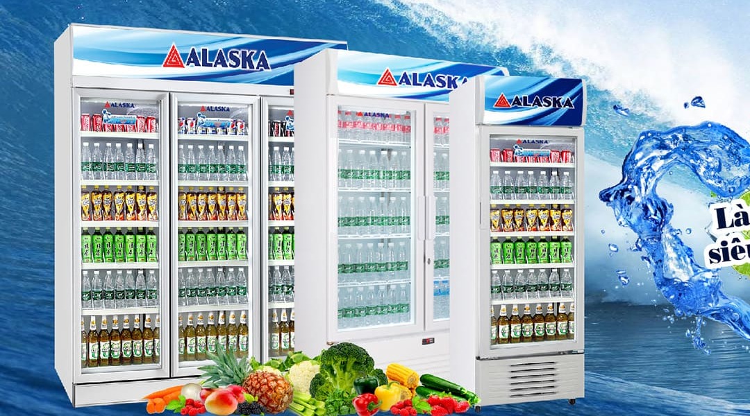 Tổng quan về hai thương hiệu tủ mát Sanaky và Alaska
