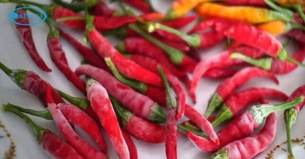 bảo quản ớt trong tủ lạnh