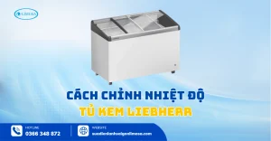 Cách Chỉnh Nhiệt Độ Tủ Kem Liebherr Đúng Chuẩn, Hiệu Quả