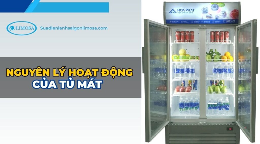 nguyên lý hoạt động của tủ mát