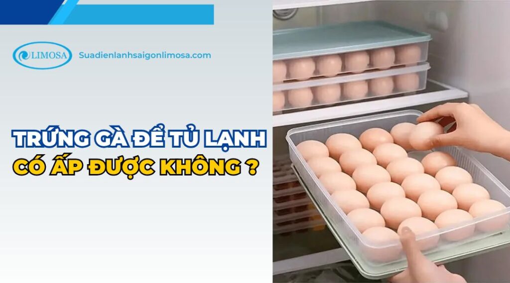 trứng gà để tủ lạnh có ấp được không