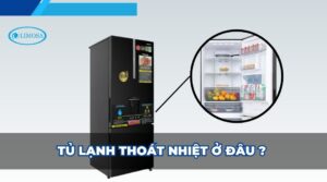 tủ lạnh thoát nhiệt ở đâu