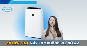 có nên mua máy lọc không khí bù ẩm