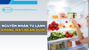 nguyên nhân tủ lạnh không mát ngăn dưới