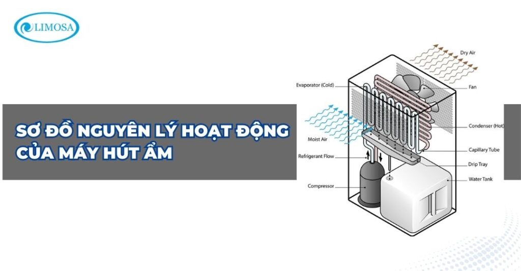 Sơ đồ nguyên lý hoạt động của máy hút ẩm