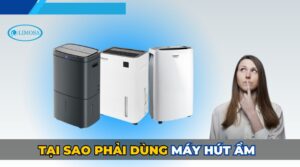 tại sao phải dùng máy hút ẩm