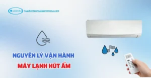 nguyên lý vận hành máy lạnh hút ẩm