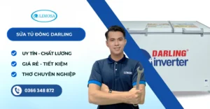 Sửa tủ đông darling