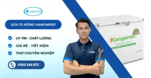 sửa tủ đông kangaroo