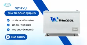 Sửa Tủ Đông Quận 9 – Sửa Chữa Nhanh Chóng, Bảo Hành Uy Tín