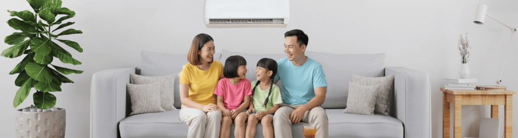 trang giới thiệu limosa