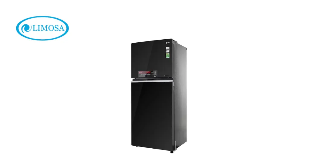 Tủ Lạnh LG Inverter
