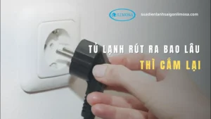 tủ lạnh rút ra bao lâu thì cắm lại