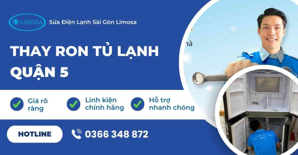 thay ron tủ lạnh quận 5